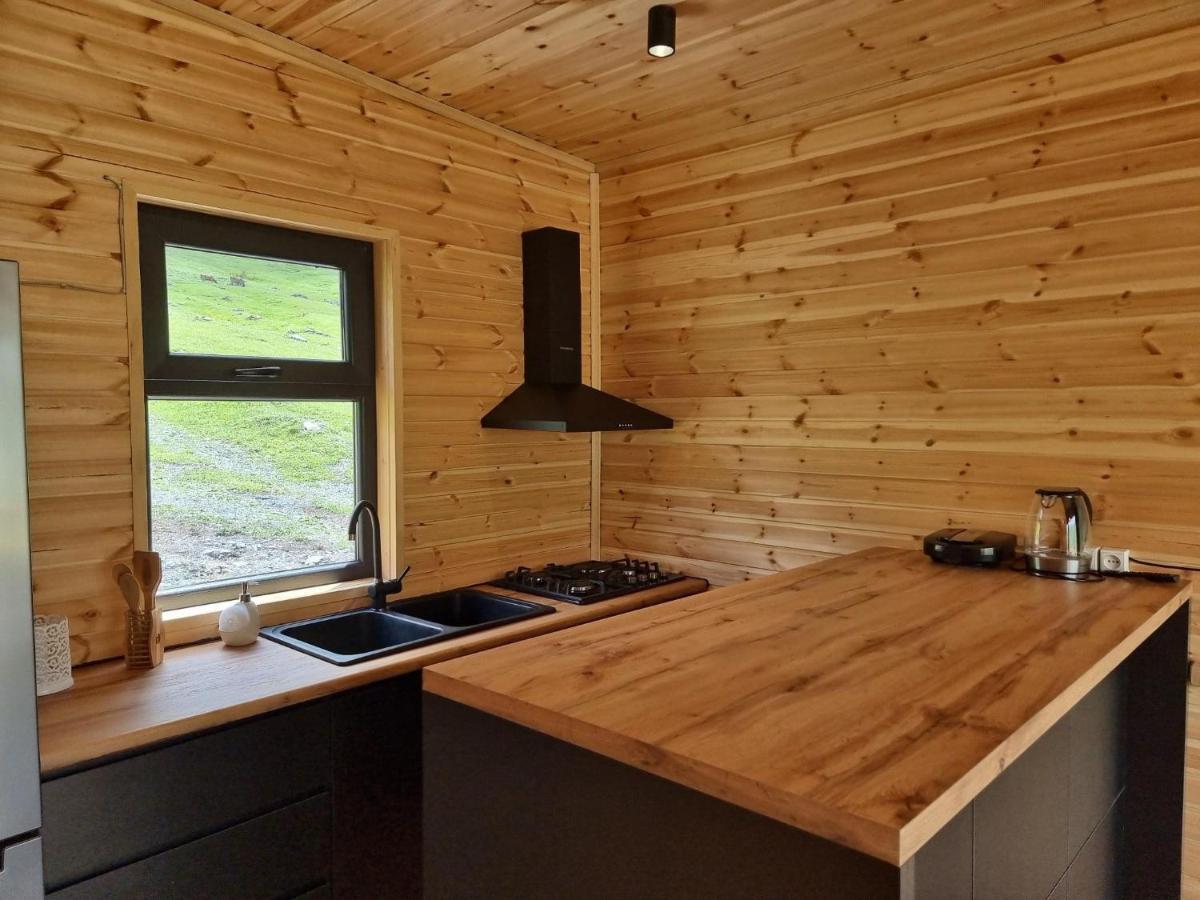 Memory Hut_Kazbegi Apartment ภายนอก รูปภาพ